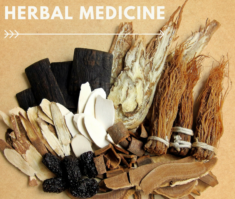 What is Herbal Medicine?
